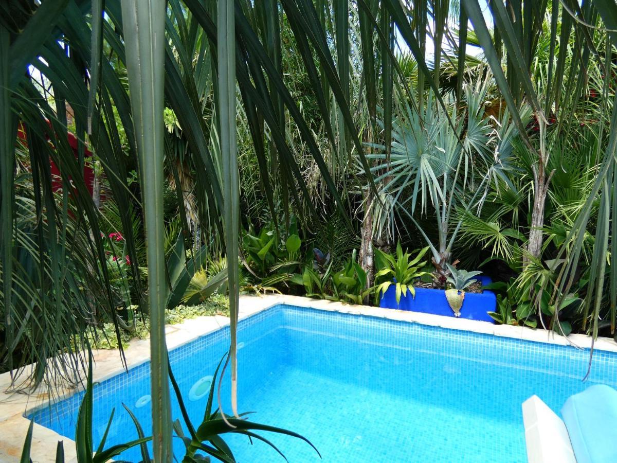 Villa Tropica, Total Privacy, Tropical Garden And Private Pool Kaštela Exterior foto